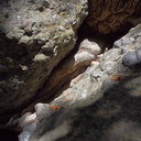 tree-root-between-rocks-Circle-X-ranch-2011-09-19-IMG 9746