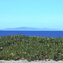 anacapa-from-sycamore-dune1-2002-12-25