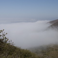 coastal-fog-at-Chumash-Trail-2013-04-27-IMG_0613.jpg