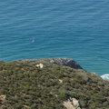 whales-swimming-off-coast-near-Chumash-2013-04-25-IMG_0591.jpg