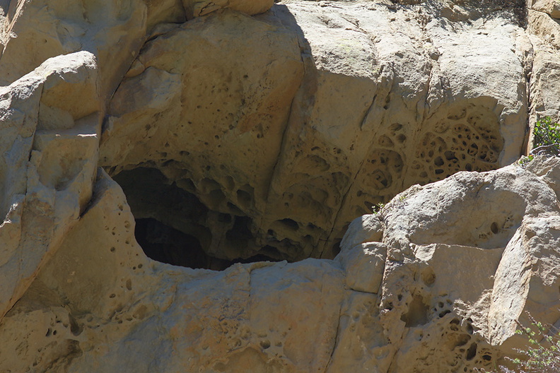 wind-erosion-mini-caves-sandstone-Ray-Miller-trail-Pt-Mugu-2012-06-26-IMG_5435.jpg