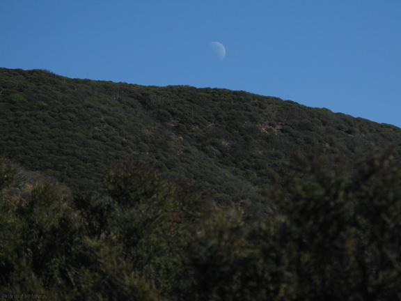 moon-rising-over-chaparral-mugu-2008-11-06-IMG 1533