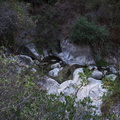 streambed-with-water-pools-Serrano-Canyon-2011-10-29-IMG_9986.jpg