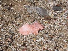pink-quartz-Rainbow-Canyon-2012-02-18-IMG 0547