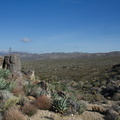 view-north-at-saddle-Blair-Valley-campsite-2012-02-19-IMG_4030.jpg