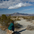 Pinto-Basin-view-Joshua-Tree-2011-11-13-IMG_3585.jpg