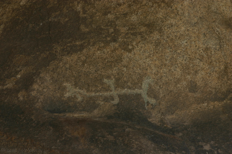 petroglyphs-Barker-Dam-2008-03-29-img 6809