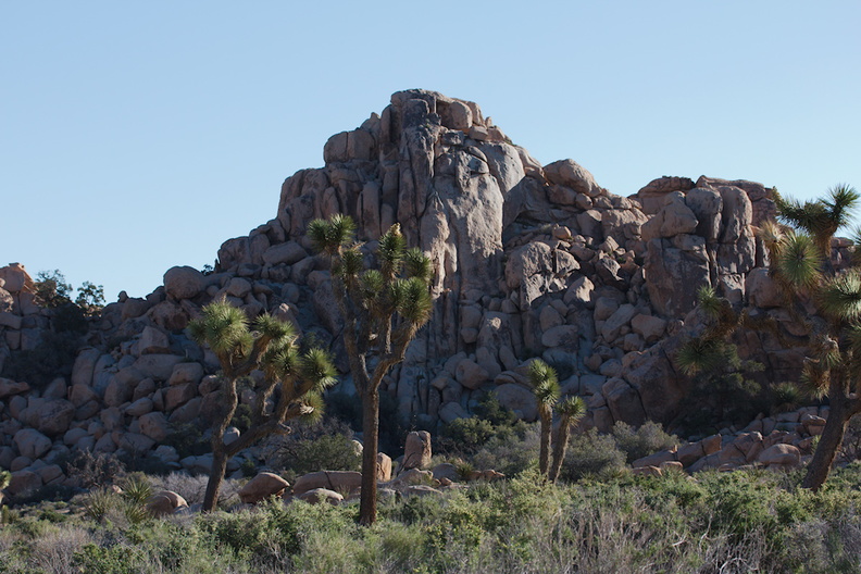 view-rock-formations-entrance-to-Hidden-Valley-Joshua-Tree-NP-2017-03-25-IMG_4357.jpg