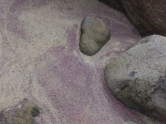 purple-sand-at-Pfeiffer-State-Beach-2013-03-02-IMG 0149