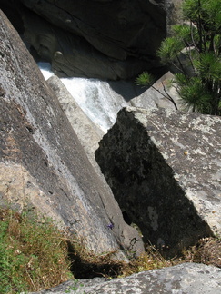 Brodiaea-jolonensis-streamside-Mist-Falls-trail-2008-07-21-img 0485