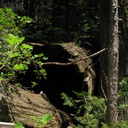 log-cabin-single-redwood-log-Redwood-Canyon-2008-07-24-IMG 0857