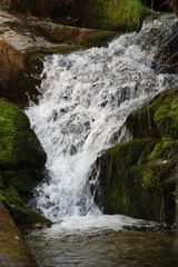 waterfall-mossy-rocks-Sheep-Creek-2008-07-26-CRW 7733