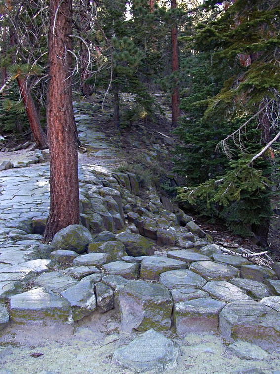 devils-postpile-basaltic-column-tops-dscn3878