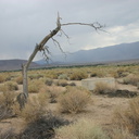 manzanar-views-2007-08-03-img 4088