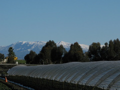 snow-Ventura-Santa-Ynez-Mts-and-farms-02-18-IMG 1775