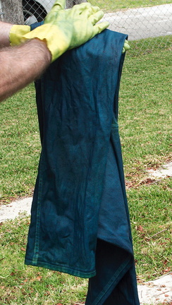 055-indigo-jeans-5-blue-2010-07-04-IMG 6259