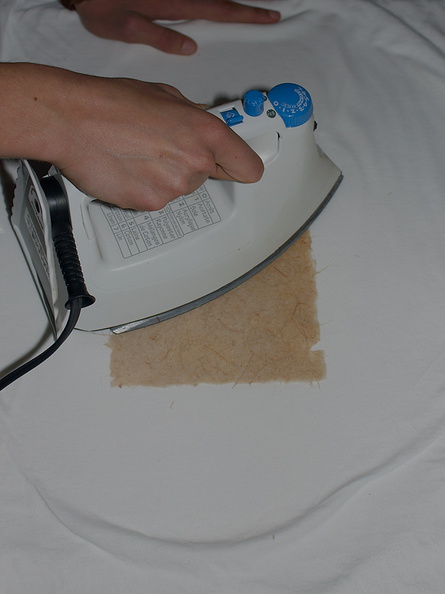 30-ironing-paper-to-complete-drying-2011-11-30-IMG_3622.jpg