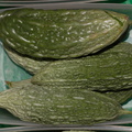 bitter-melon-Farmers-Market-Sheboygan-2016-08-13-IMG_3449.jpg