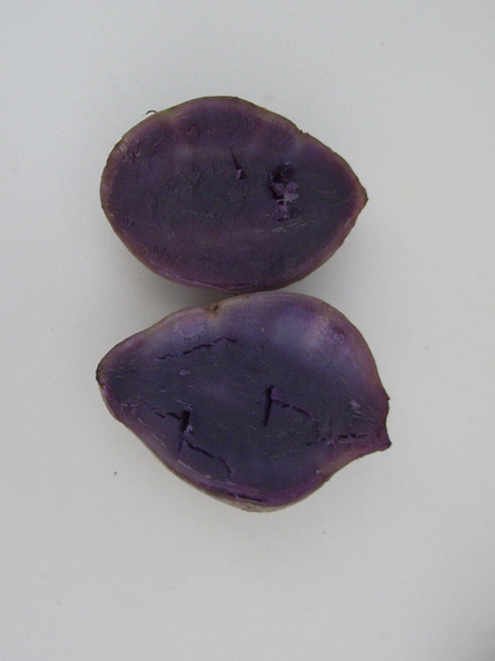 sweet-potato-Japanese-even-bluer-when-cooked-2012-04-27-IMG_1623.jpg