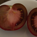 tomato-slice-showing-vessels-to-seeds-2013-01-30-IMG_3399.jpg