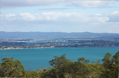 Auckland-from-Rangitoto-summit-track-26-07-2011-IMG 3271