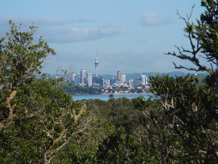 Auckland-from-Rangitoto-summit-track-26-07-2011-IMG 9481