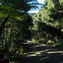 road-to-Stony-Bay-Coromandel-01-07-2011-IMG 9028