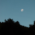 moon-rising-Kiriwhakapappa-13-06-2011-IMG 8482