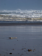 Tasman-Sea-surf-Baylys-Beach-10-07-2011-IMG 9188