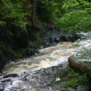 trout-stream-views-Amberg-WI-2008-06-01-img 7335