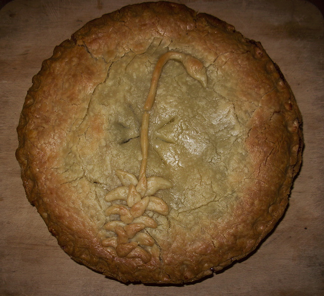 pie-with-bryum-pie-art-2011-12-26-IMG_0273.jpg