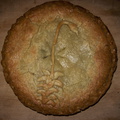 pie-with-bryum-pie-art-2011-12-26-IMG_0273.jpg