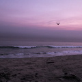 sunset-pelican-port-hueneme-2008-07-03-img_0023.jpg