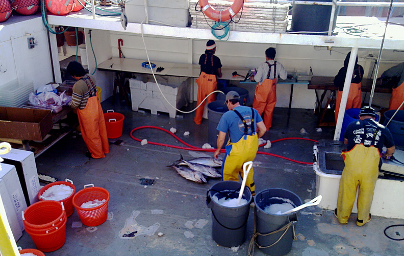 tuna-boat-workers-img_007-2012-03-10.jpg