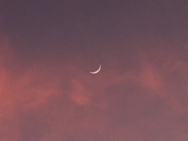 crescent-moon-sunset-2011-01-07-IMG_6881.jpg