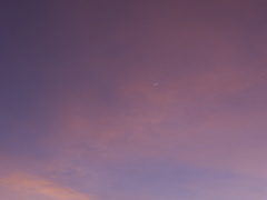 sunset-crescent-moon-2011-02-05-IMG 7012
