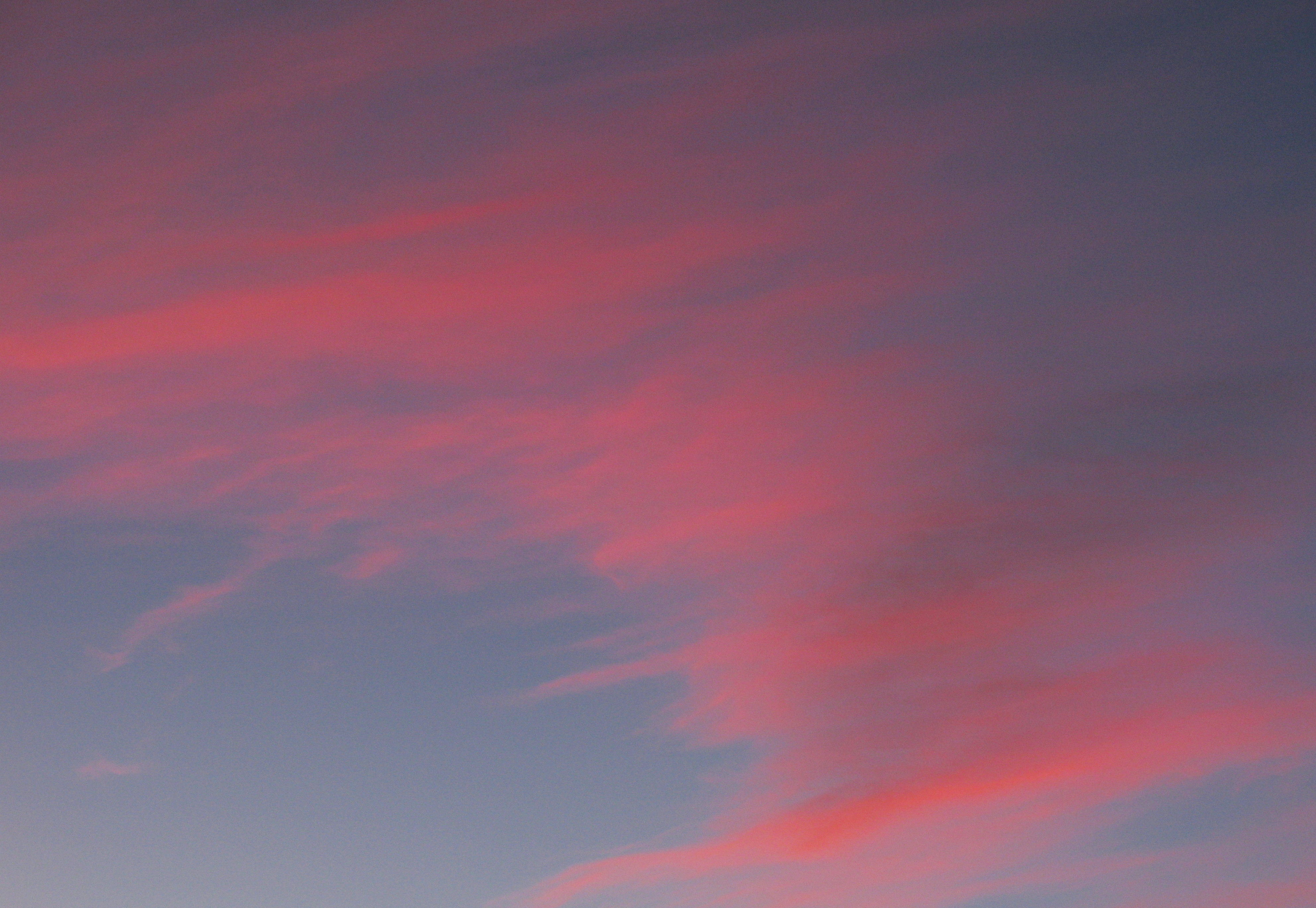 clouds pink