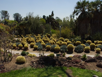 spherical-cactus-garden-Huntington-Gardens-2017-04-01-IMG 8154