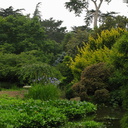 Japanese-garden-Strybing-view-2008-08-06-IMG 1154