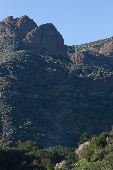 view-toward-Boney-Mountain-Sandstone-Peak-Malibu-Springs-trail-2013-01-27-IMG_7265.jpg
