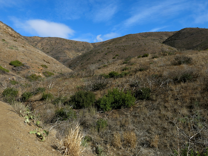 drought-and-after-Spring-Fire-before-it-rained-Ray-Miller-Trail-Pt-Mugu-2015-12-28-IMG_6441.jpg