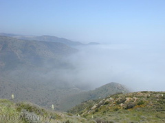 landscape-coast-fog-2003-05-27