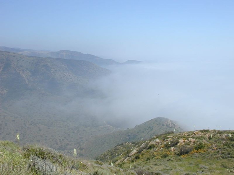 landscape-coast-fog-2003-05-27.jpg