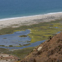 wetlands-behind-beach-Chumash-2014-06-16-IMG 4108