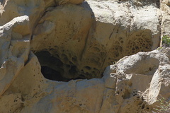 wind-erosion-mini-caves-sandstone-Ray-Miller-trail-Pt-Mugu-2012-06-26-IMG 5435