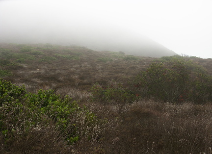 misty-view-Chumash-trail-Pt-Mugu-2012-08-23-IMG 2697