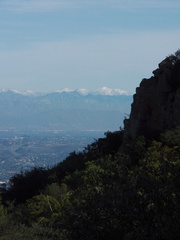 snow-on-the-San-Gabriels-view-east-from-Sandstone-Peak-2012-12-21-IMG 3124