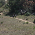 the-advance-team-mm-is-Sage-Ranch-Santa-Susana-2012-03-24-IMG_4664.jpg