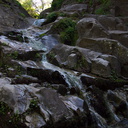 waterfall-moss-habitat-Satwiwa-waterfall-trail-2011-04-12-IMG 7640