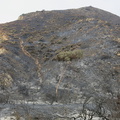 2013-05-04-Day3-Springs-Fire-burn-at-La-Jolla-Canyon-Pt-Mugu-IMG_0700.jpg